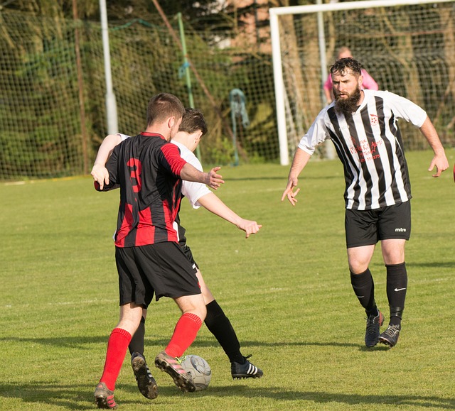 莱利会解雇斯波吗?阿里纳斯:莱利需要解雇的是他自己.